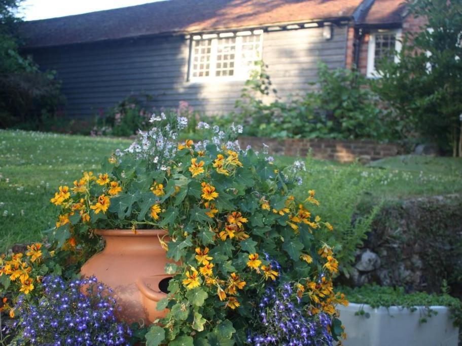 Oak House Farm Apartment Edenbridge Luaran gambar
