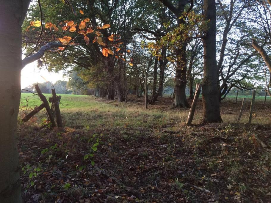 Oak House Farm Apartment Edenbridge Luaran gambar